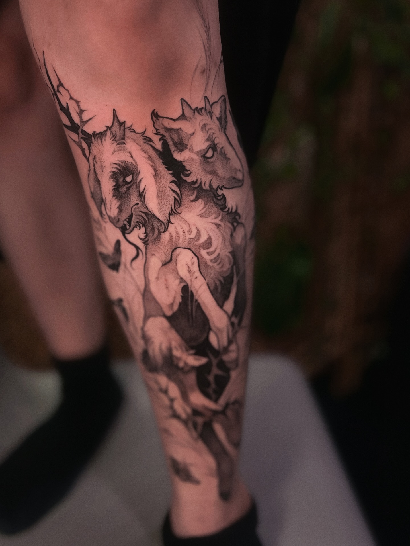 Dragon