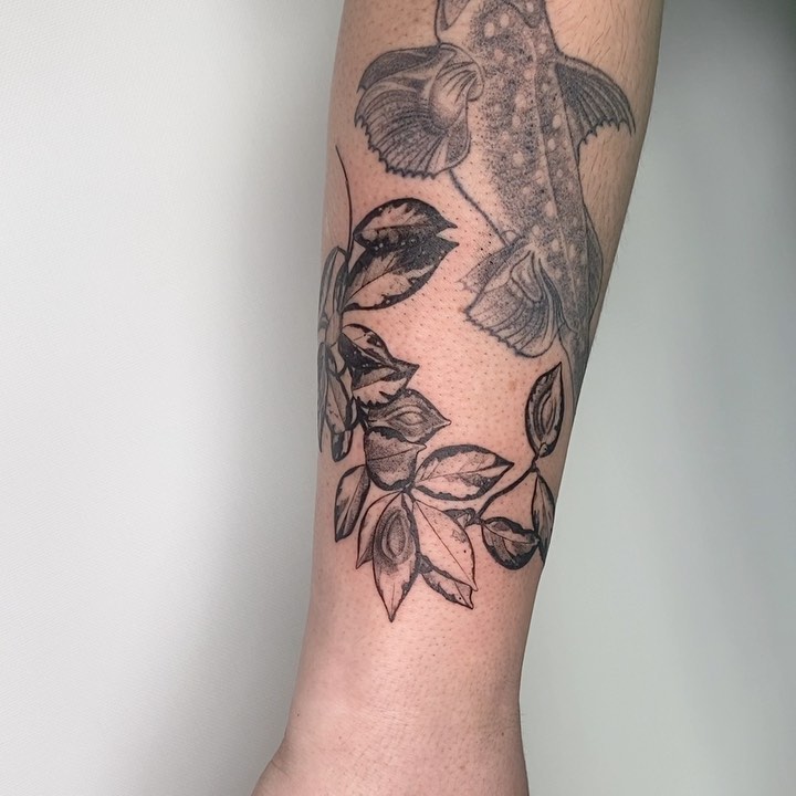 plantsnpokes