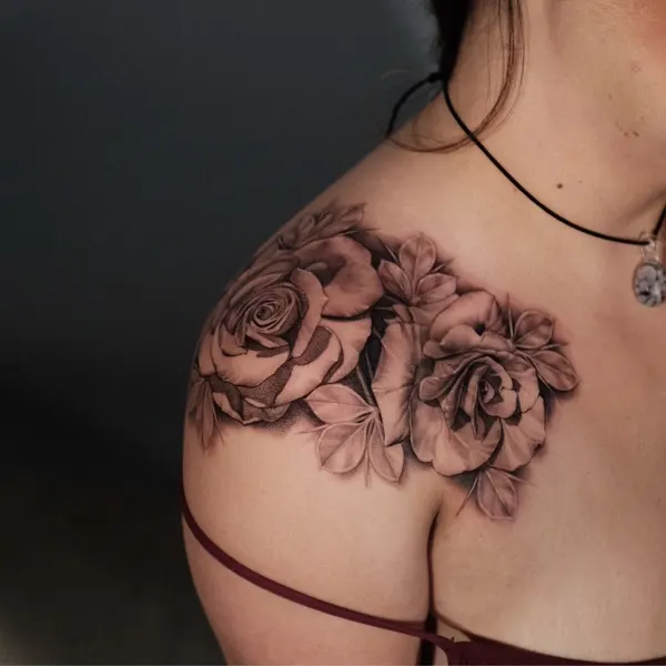 Flower, Rose, Nature