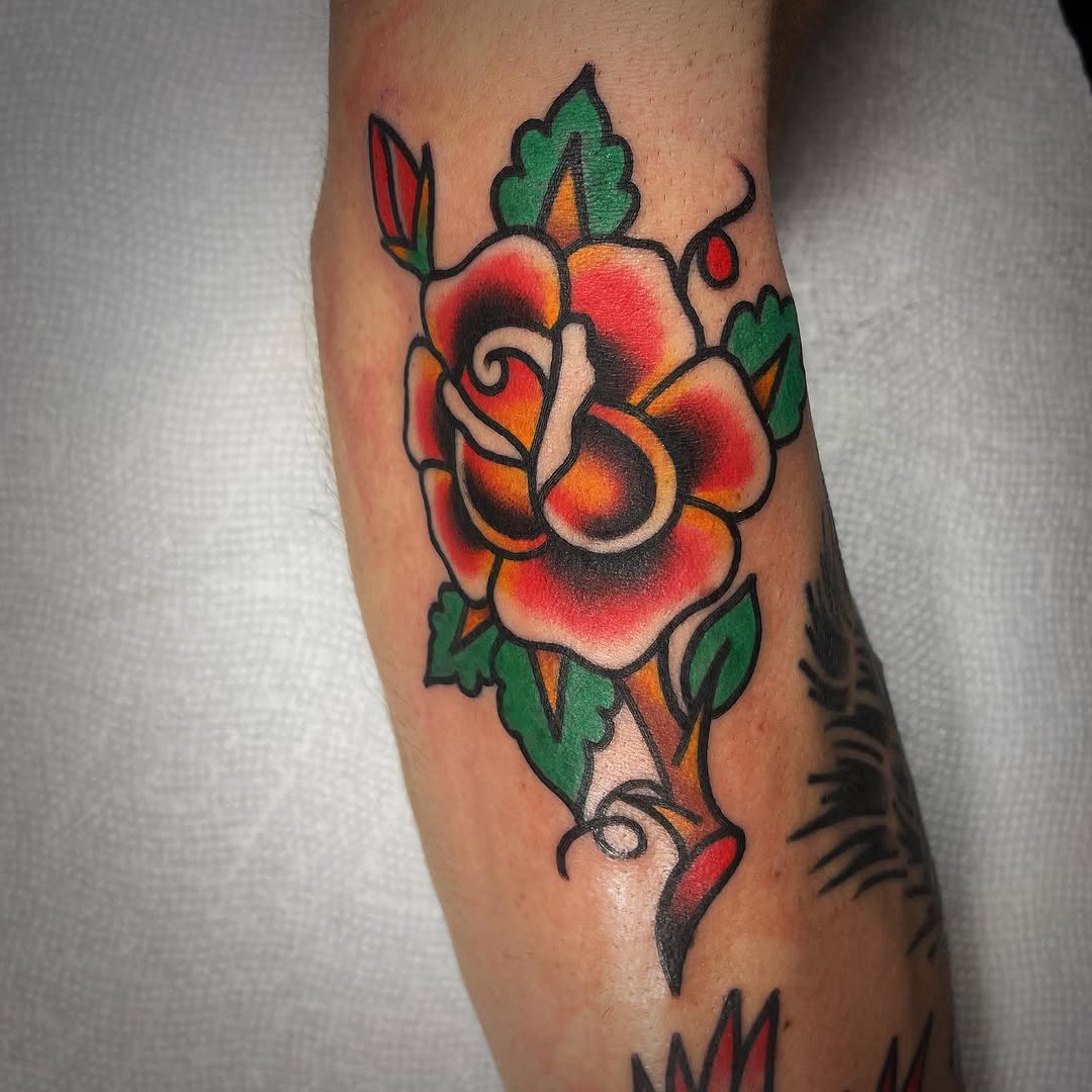 Flower, Rose