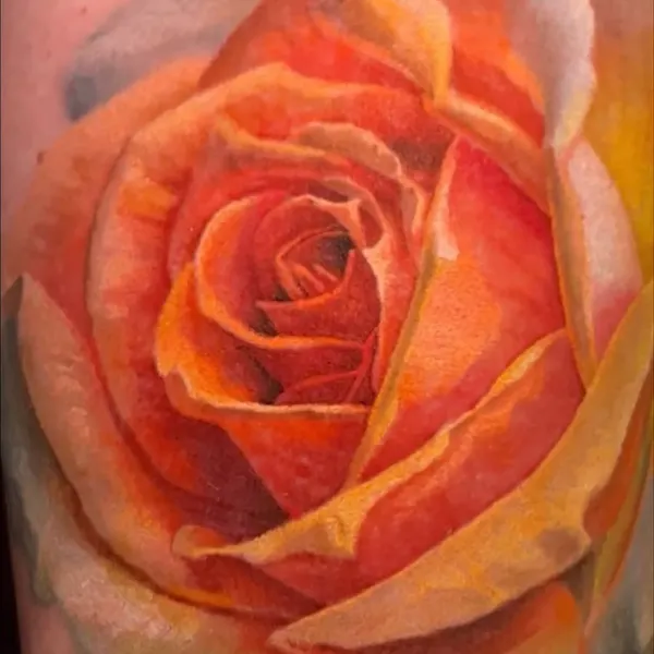 Flower, Rose