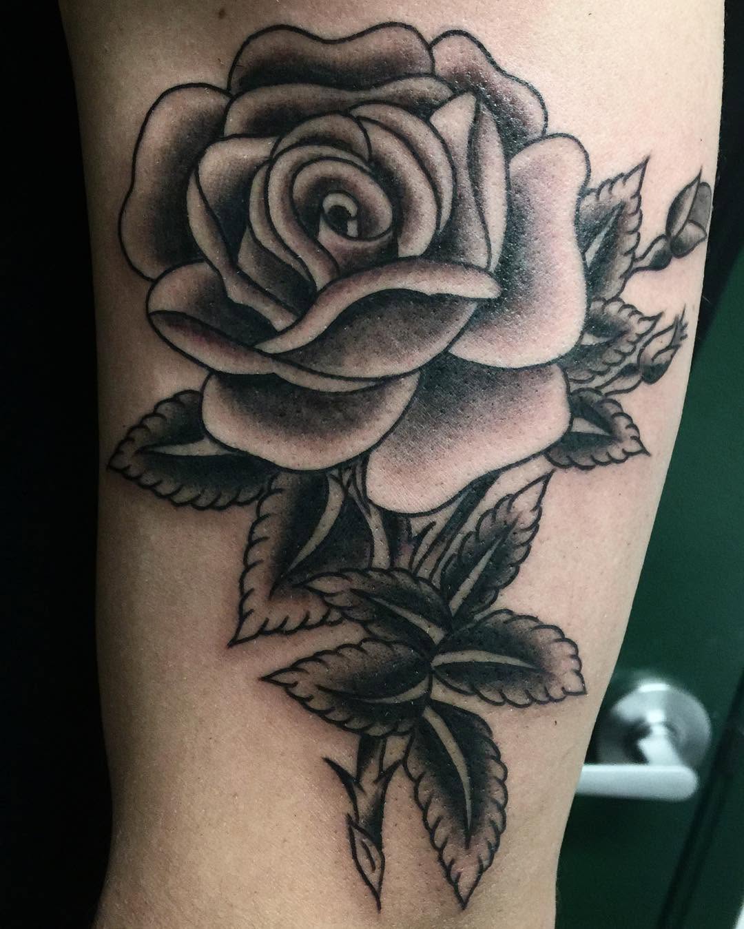 Rose, Flower