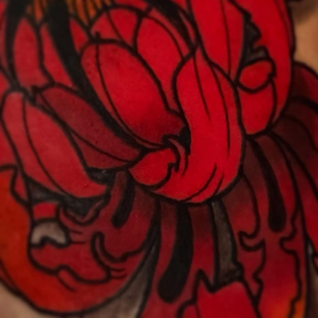 fullproof.bloom