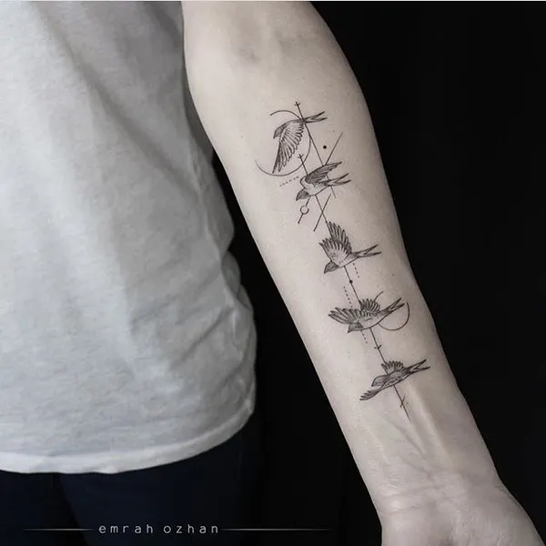 Animal, Nature