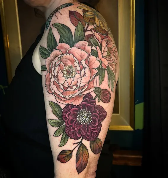 Flower, Rose, Nature