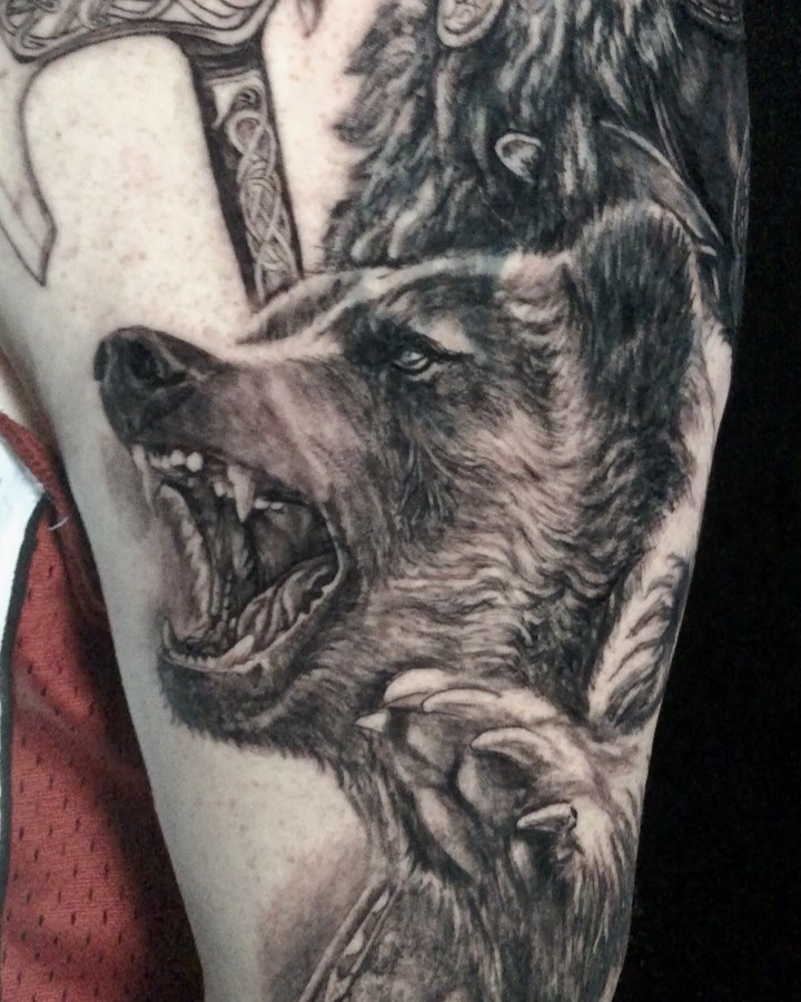 Animal