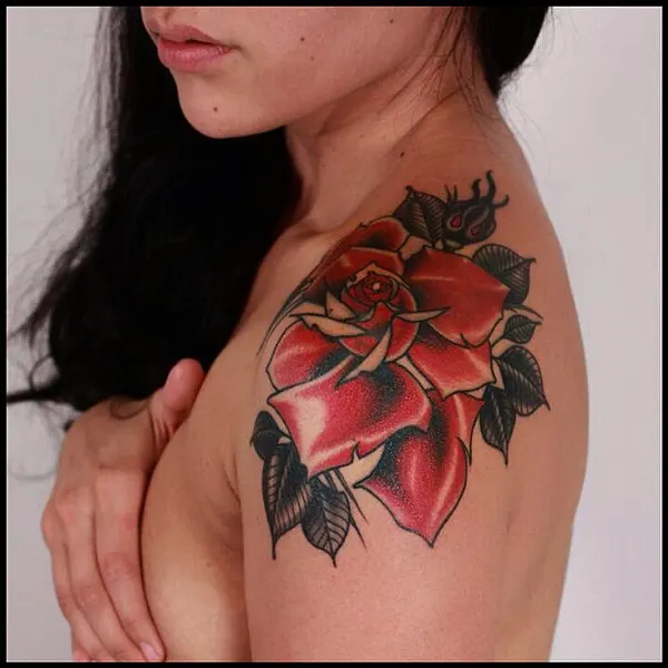 Flower, Rose