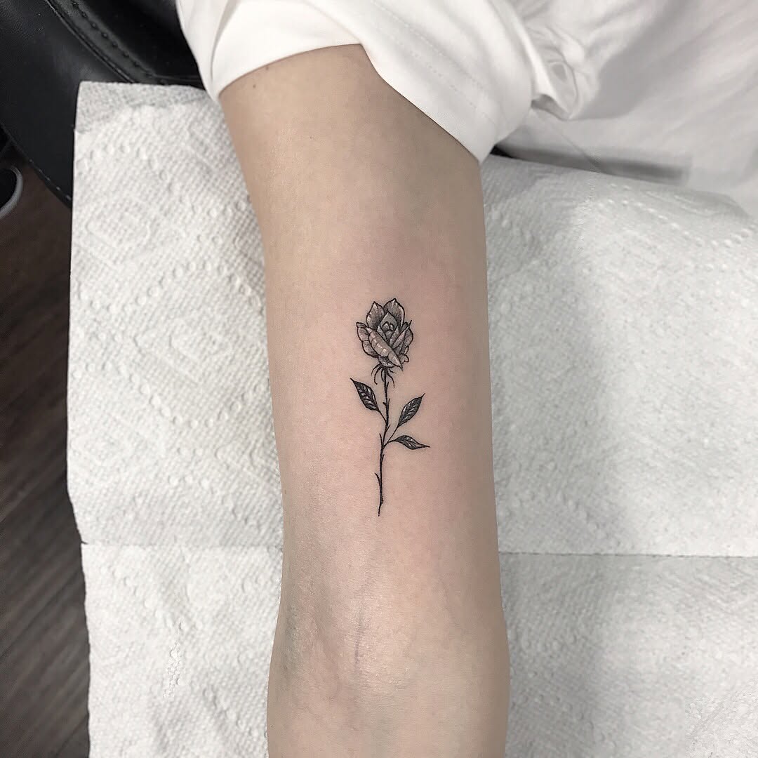Flower, Rose