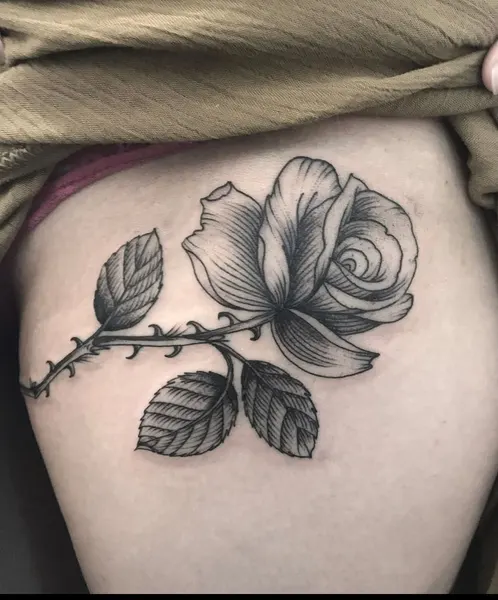 Flower, Rose
