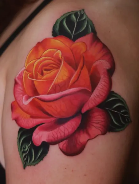 Flower, Rose, Nature