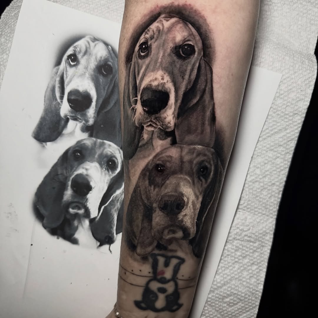 Animal, 팬서, 재규어, 표범