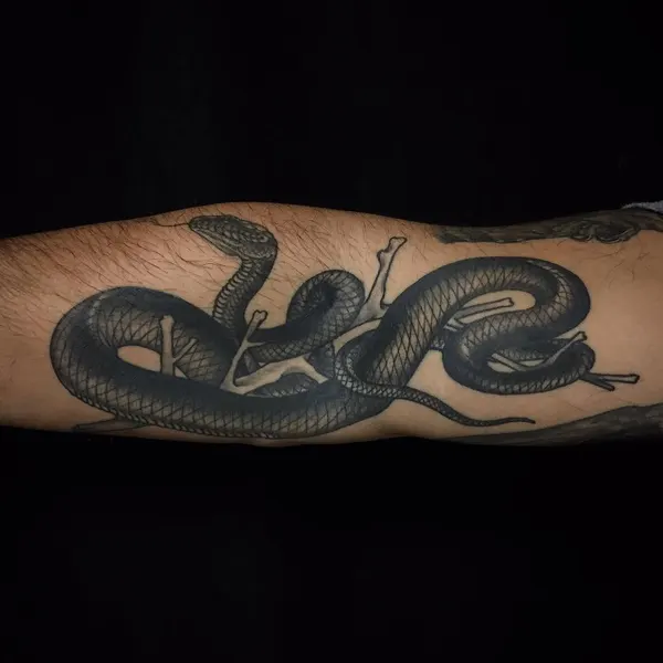 Snake