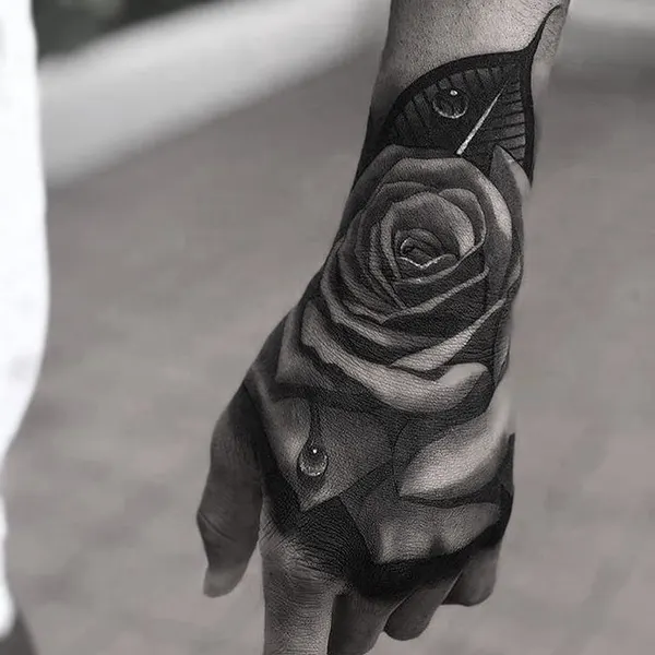 Flower, Rose