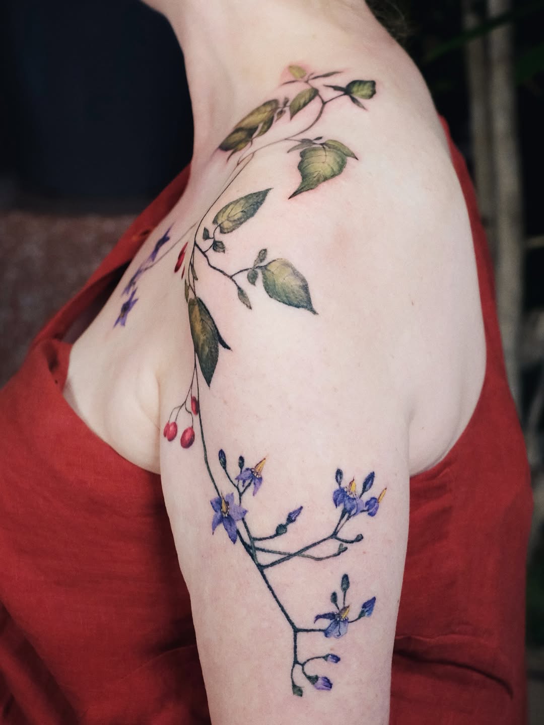 Flower, Rose