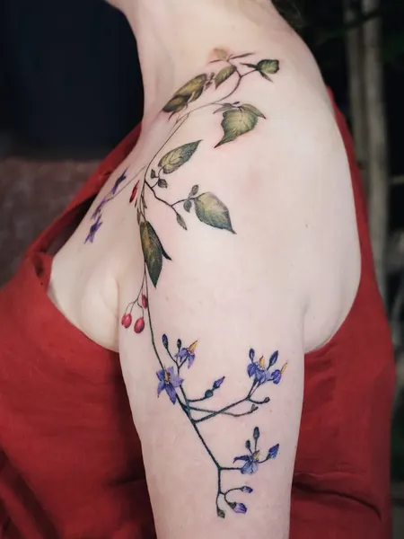 Flower, Rose