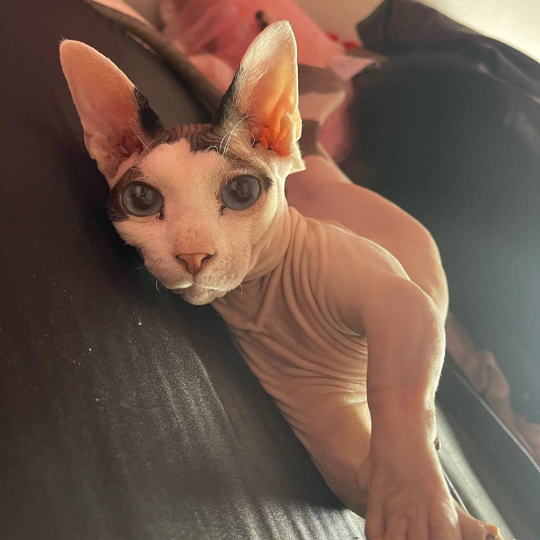nixxi_tattoos