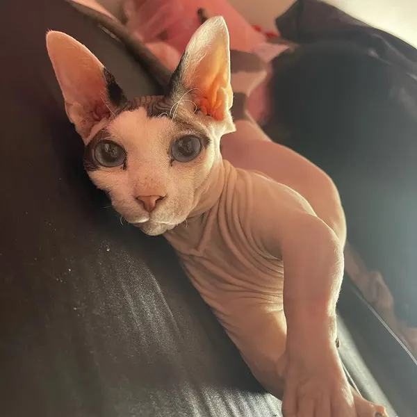 nixxi_tattoos