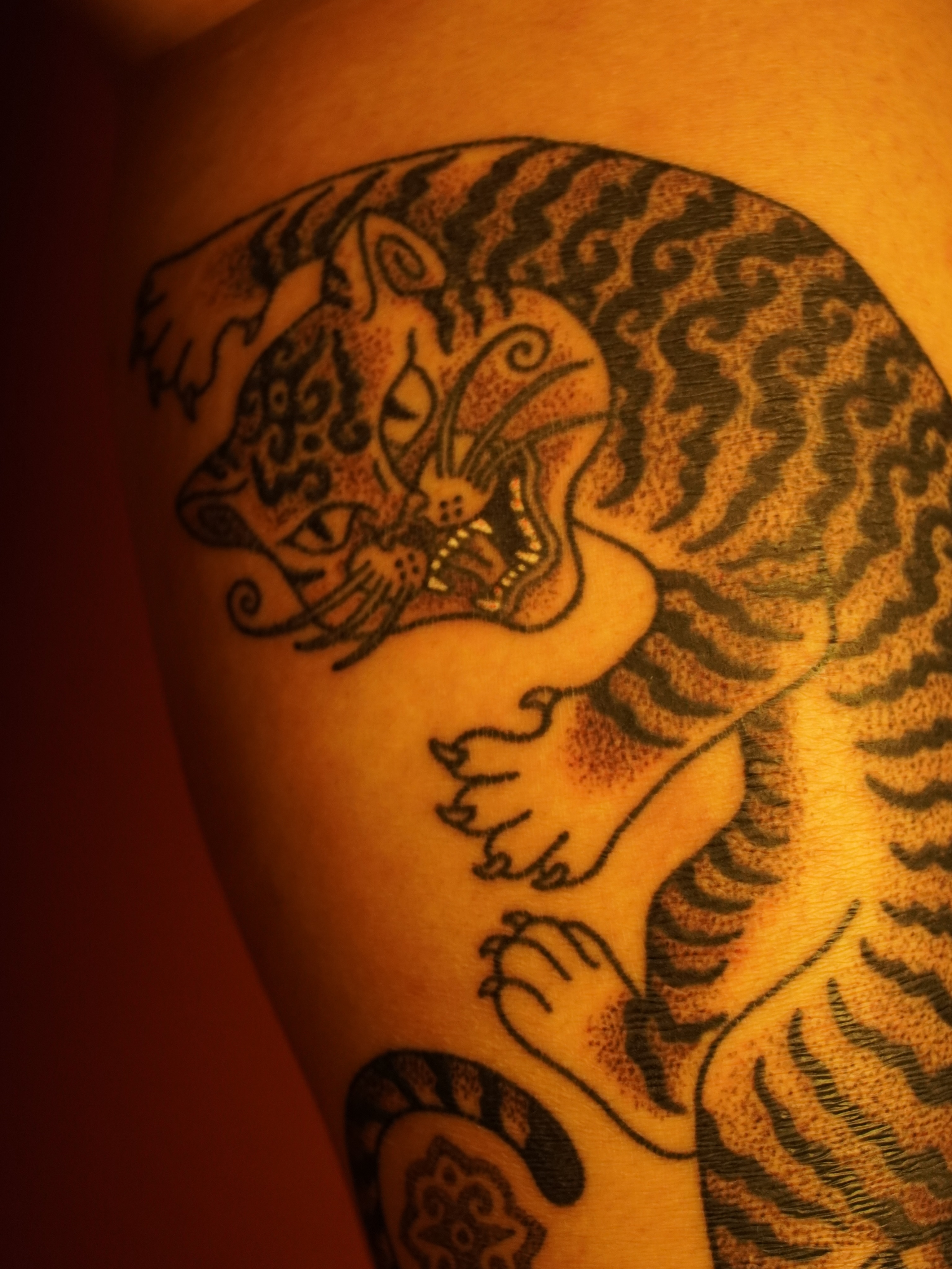 Tiger