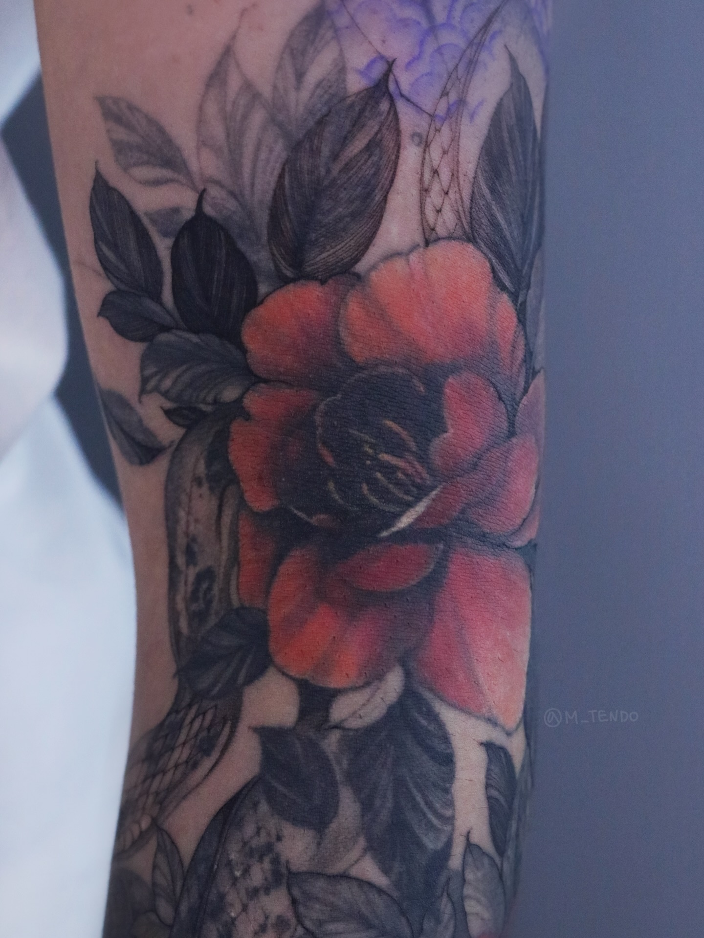 Flower, Rose