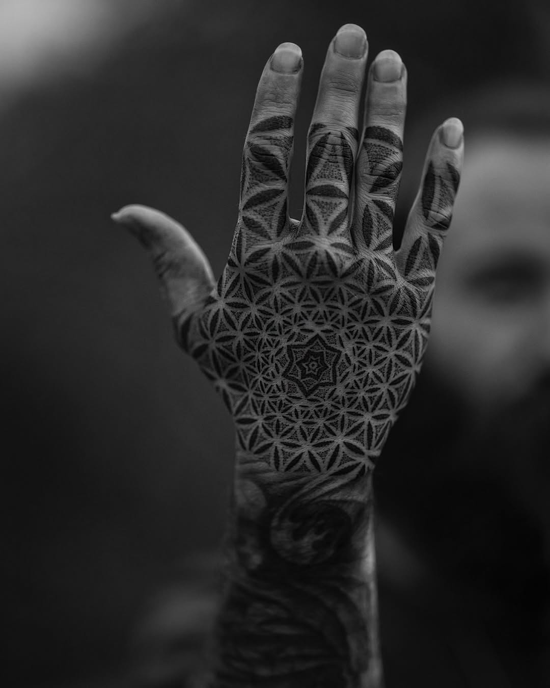 dillonforte