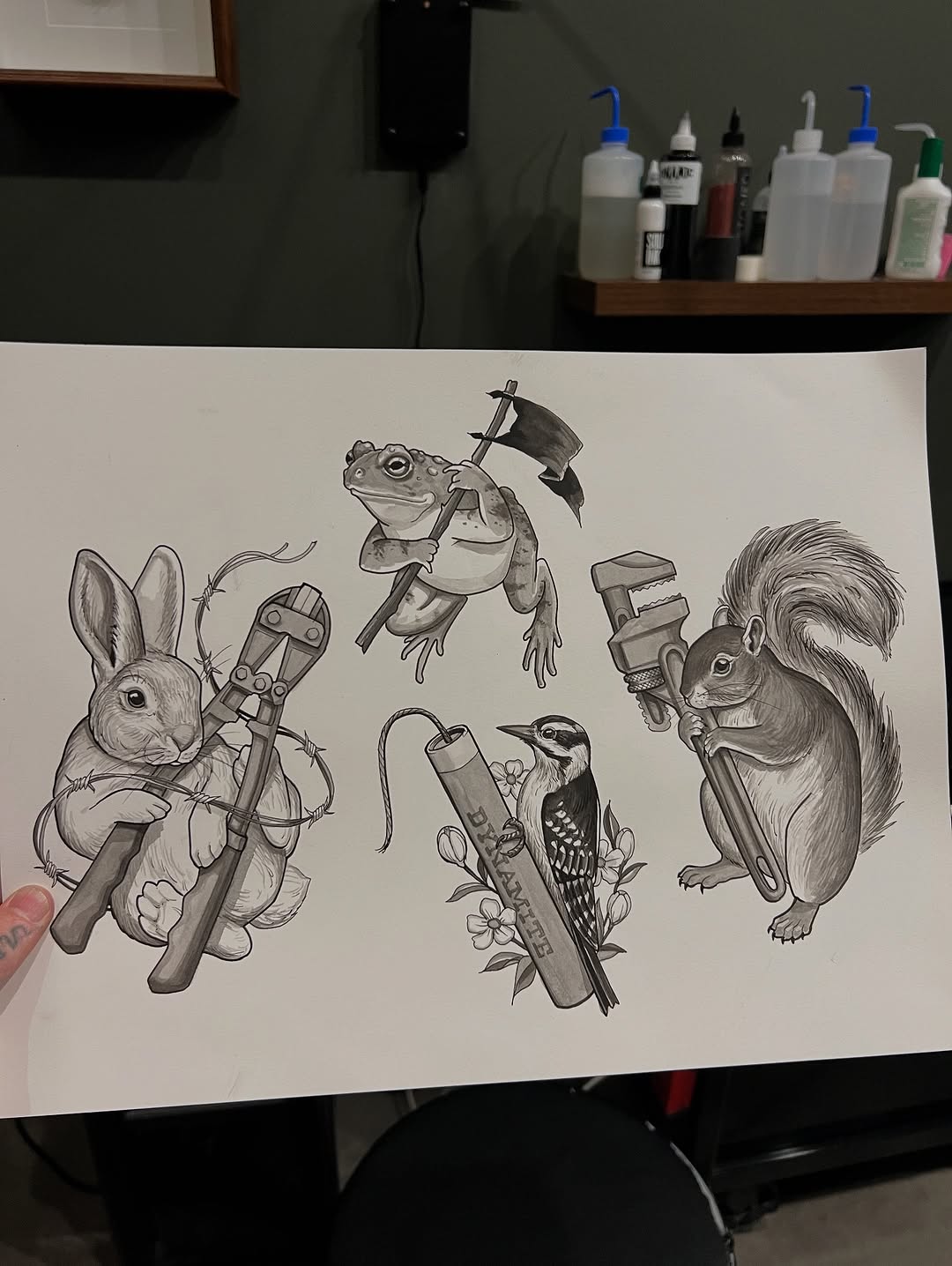 Animal, 토끼