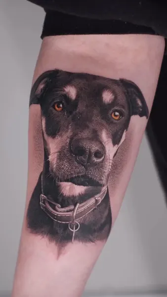 Animal