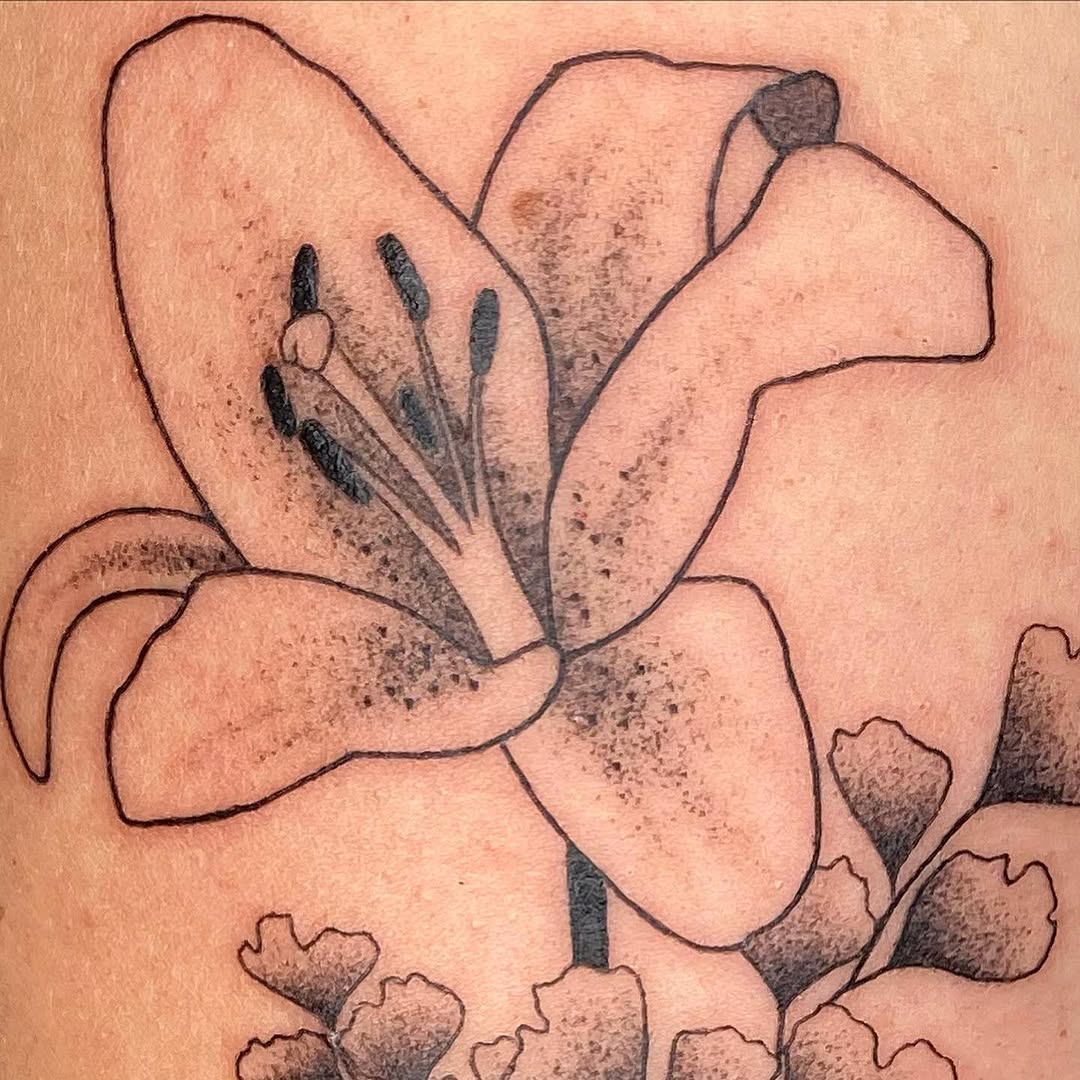 plantsnpokes