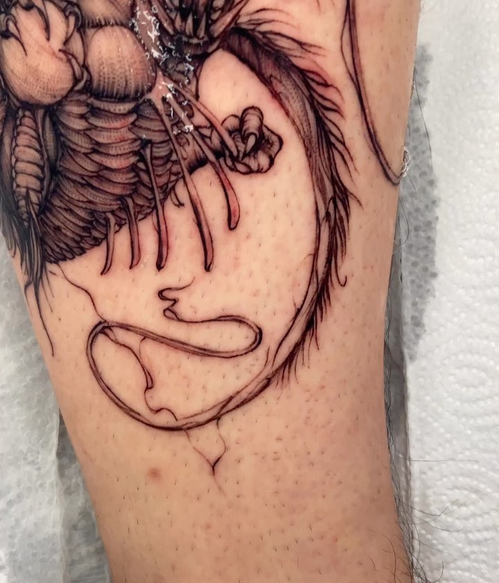 Dragon