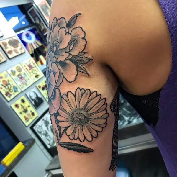Flower, Rose
