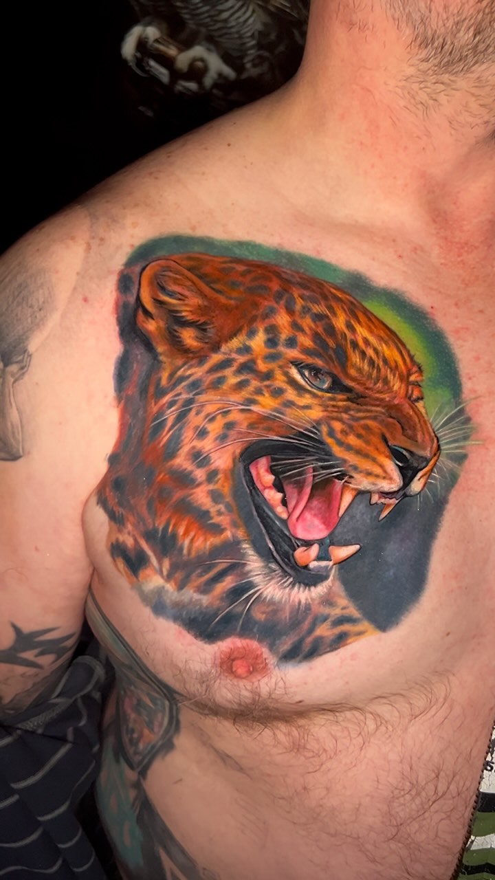 Animal
