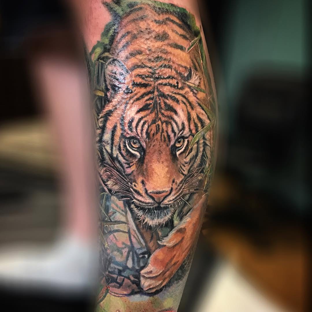 Tiger