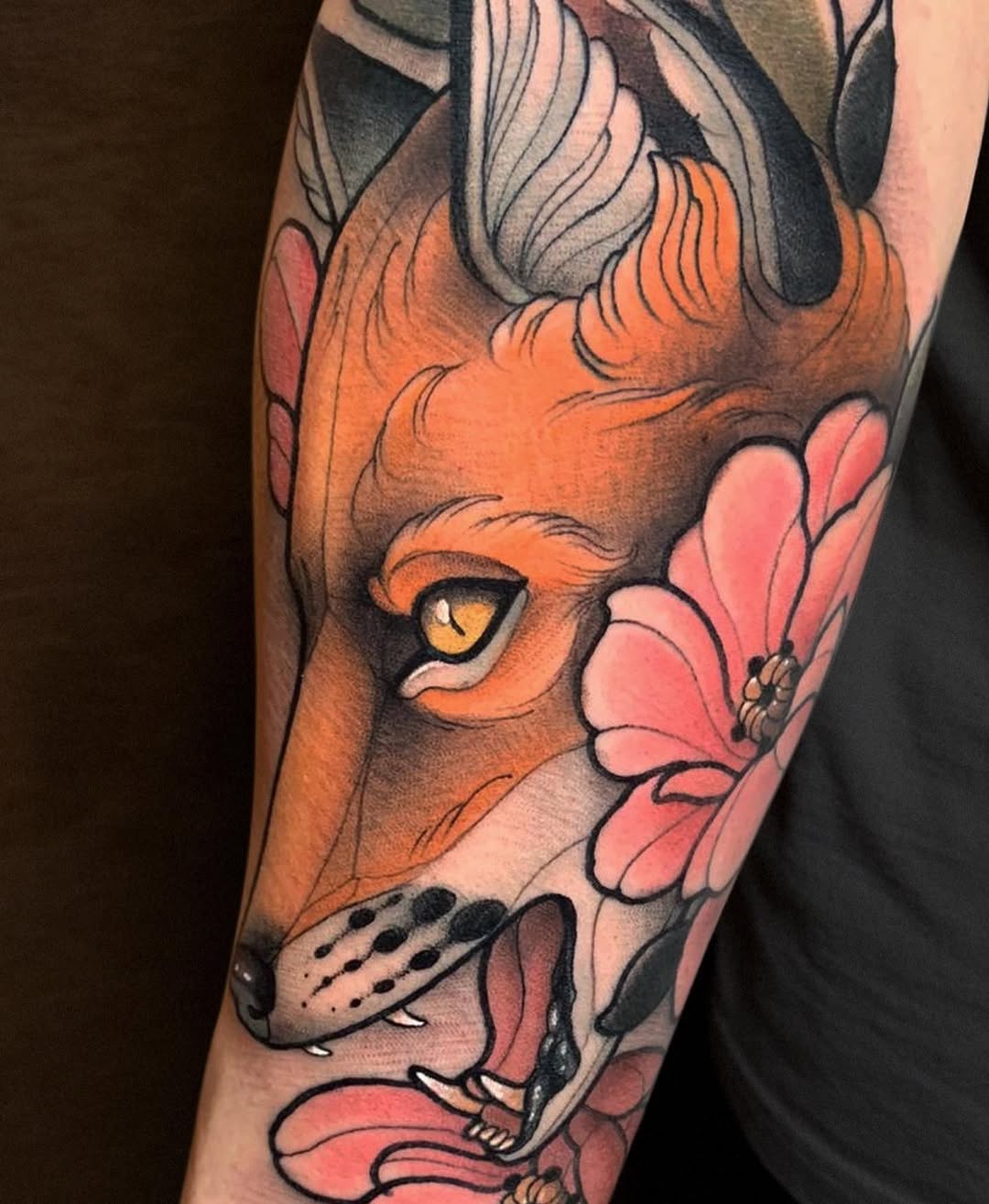 Animal, 여우