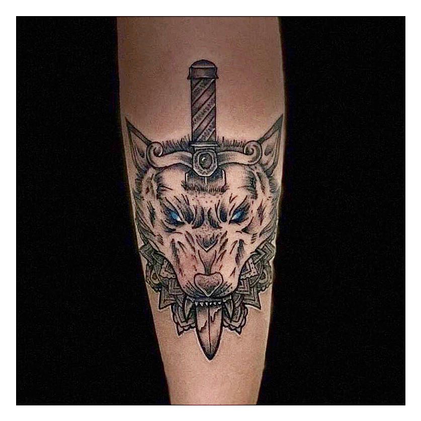 Tiger, Animal