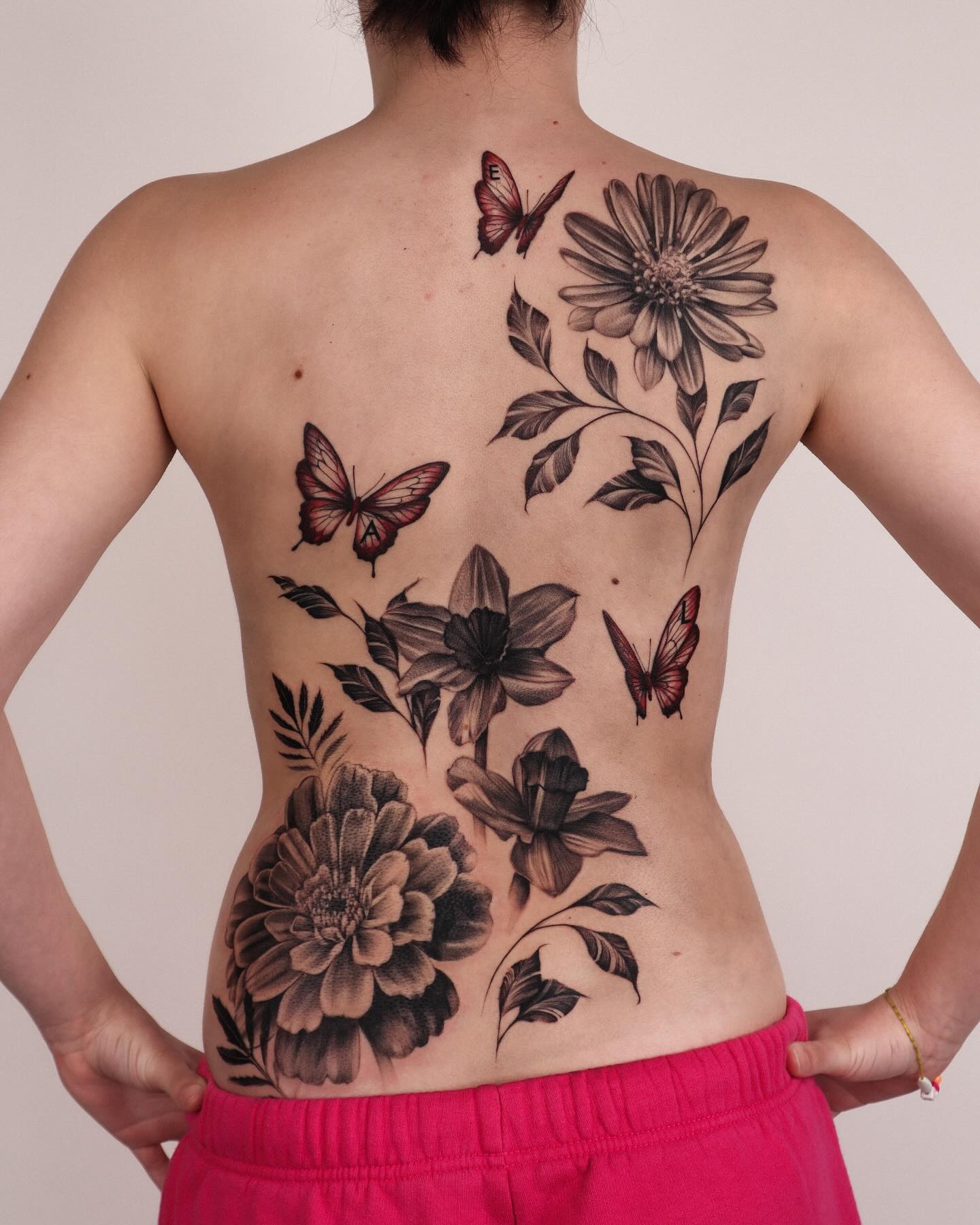 Flower, Nature, Rose