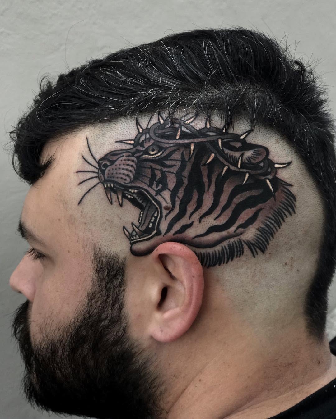 Tiger, Animal
