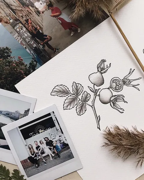 Flower, Rose