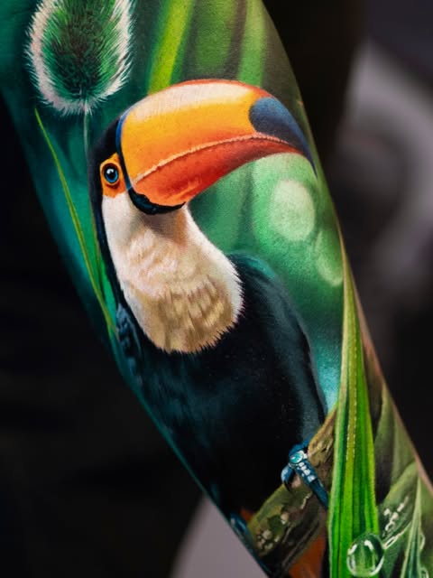 Animal, Flower, Nature