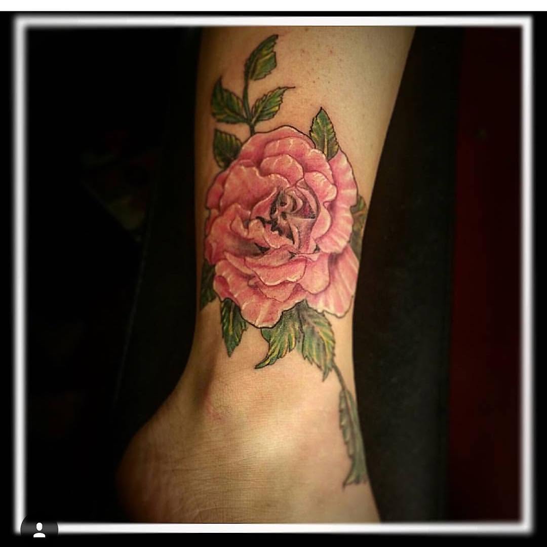 Flower, Rose