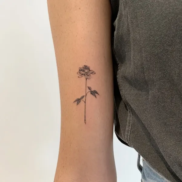 Flower, Rose