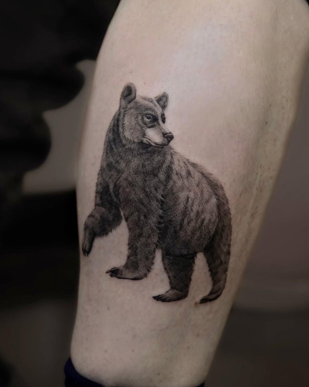 Animal