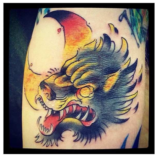 Tiger, Animal