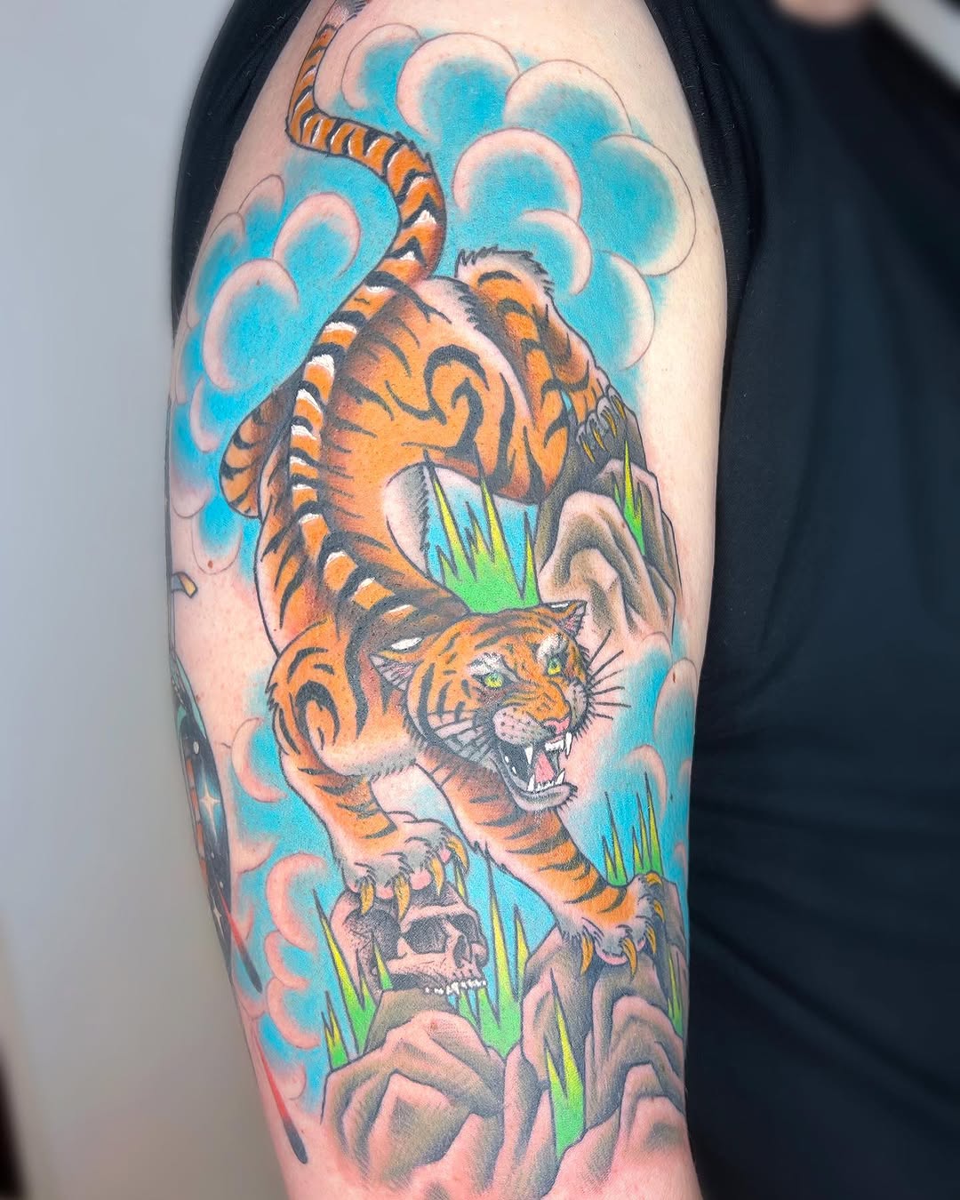 Tiger