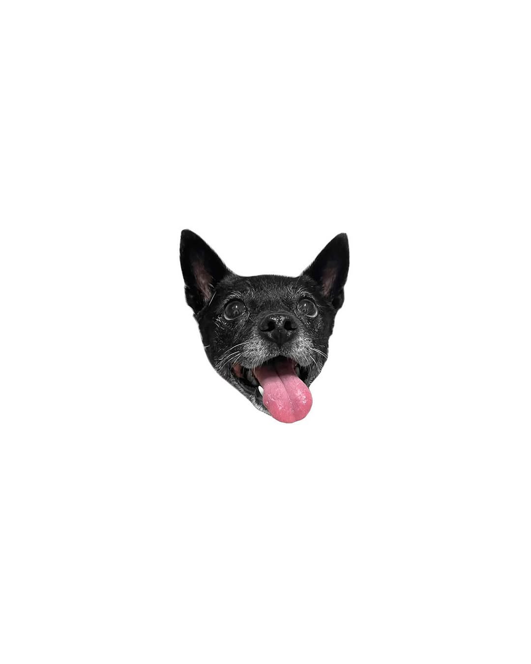 dorok.tattoo
