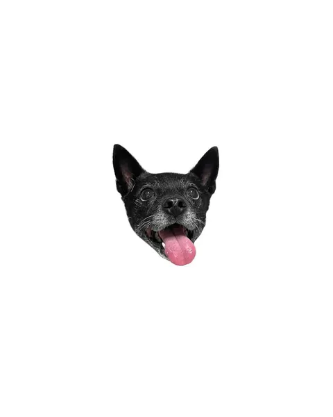 dorok.tattoo