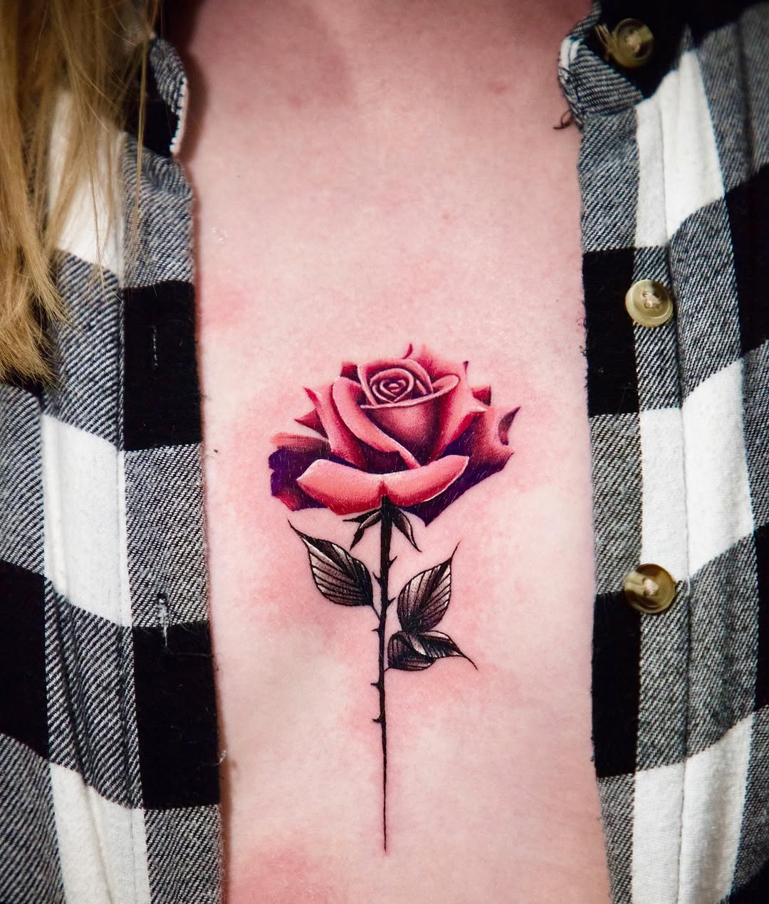 Flower, Rose, Nature
