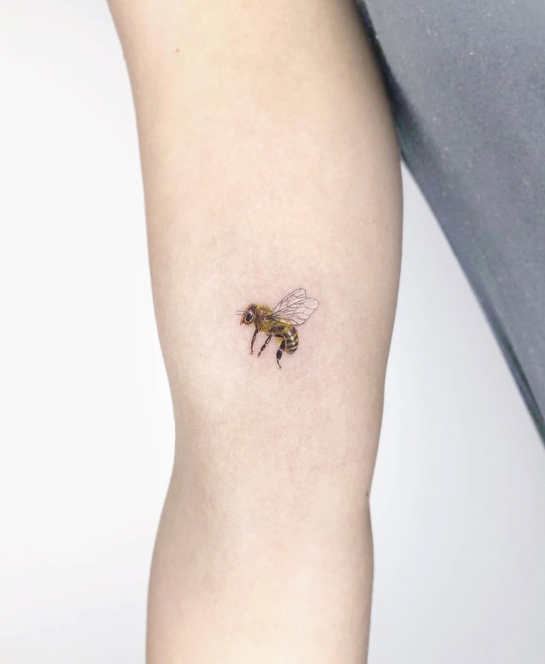 벌, Animal