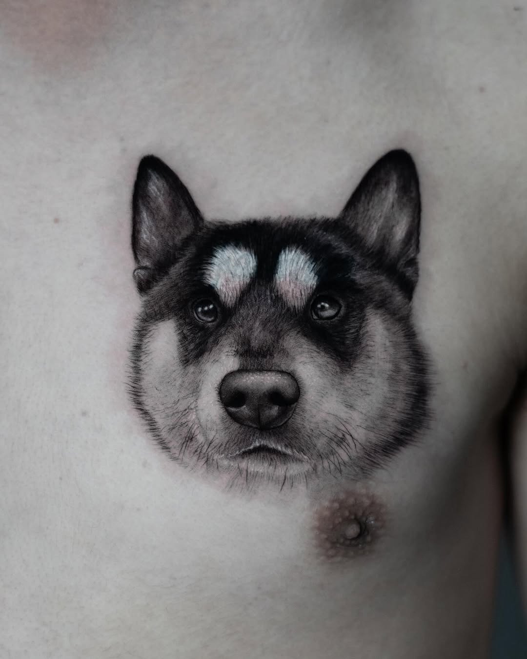 lewis.tattoo