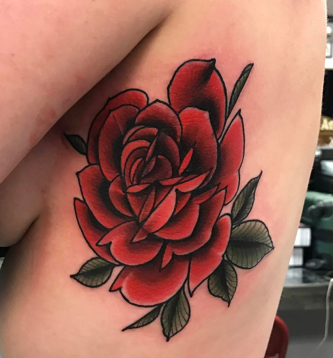 Flower, Rose, Nature