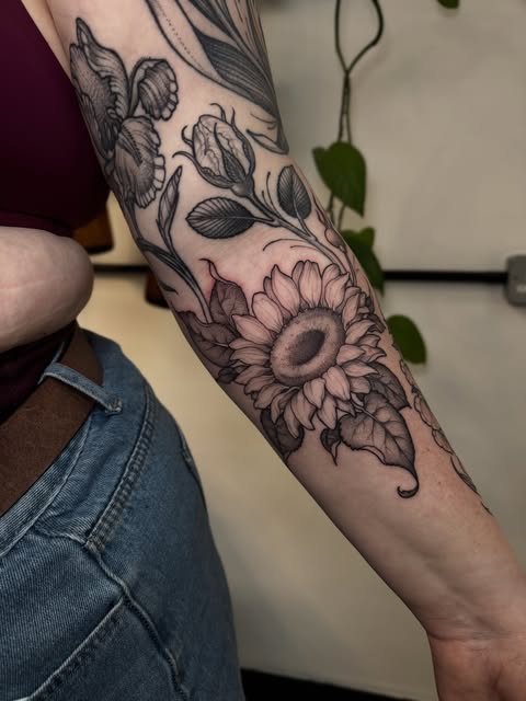Flower, Rose