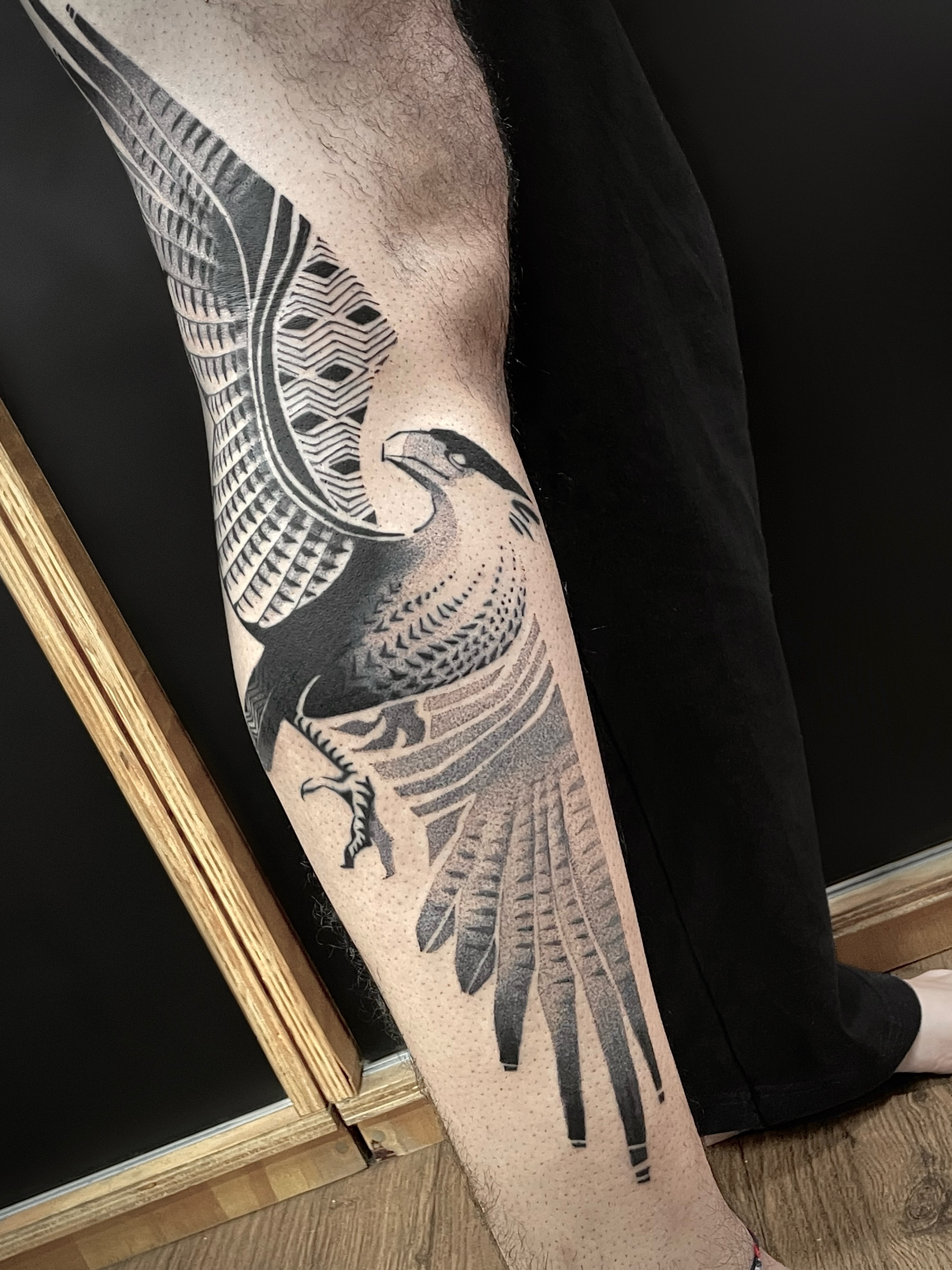 leo_marsiglia